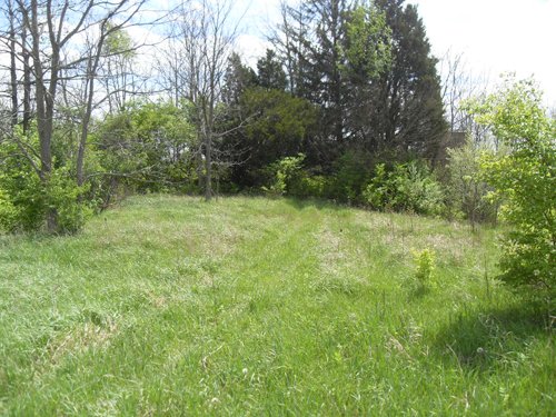 Property photo 6 - Land Auction - 113.11 Acres, Potential Building Site, Wildlife & Recreation, Development Potential